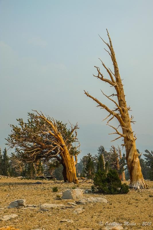 Dag22-7745.jpg.e893735d5ce9774575064f474