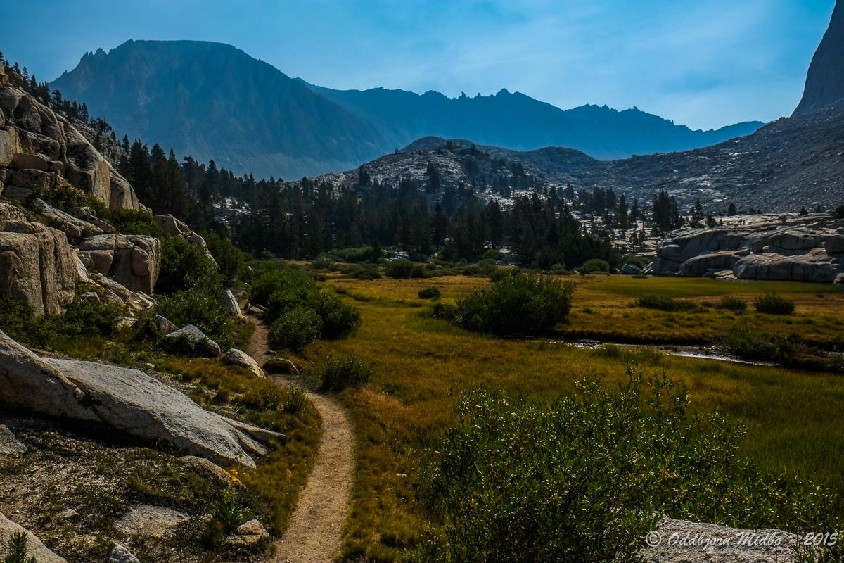 Dag23-7818.jpg.b5930ddc7c5847ca49dccdd4c