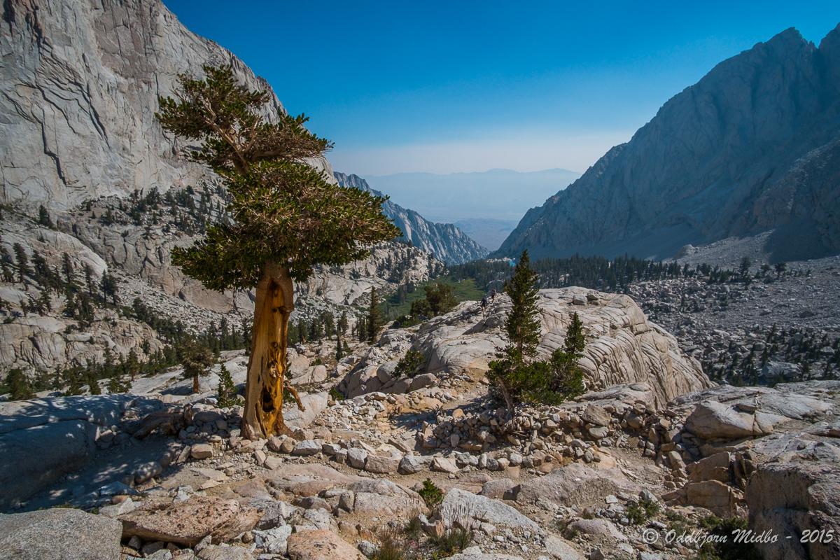 Dag24-8024.jpg.4711d0ba4c4ef0de2e164d746