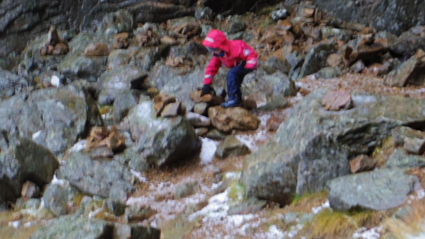 IMGP3592.thumb.JPG.8654612e93da732bc0760