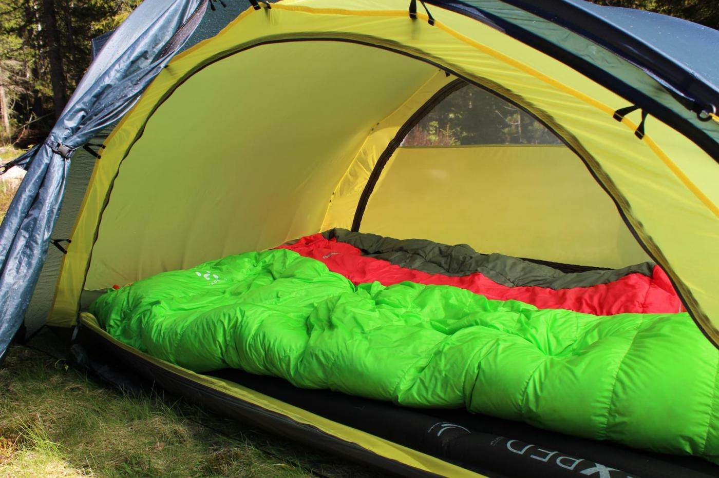 IMG_2723.thumb.JPG.f891ea56382a962351ac9