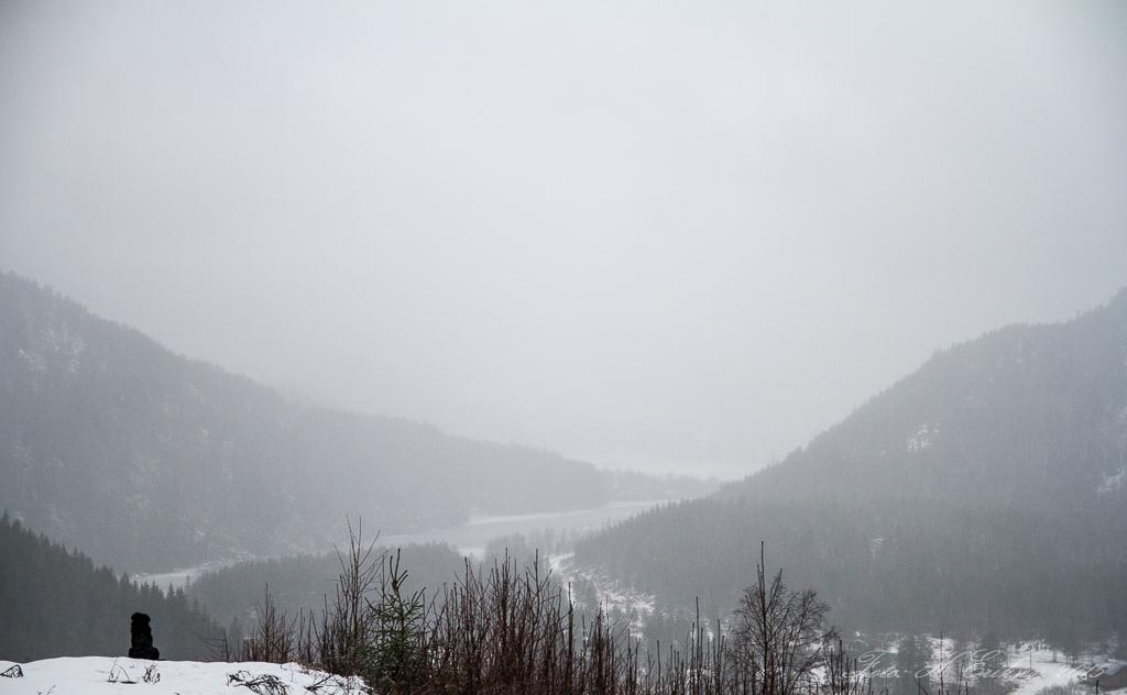 IMG_8769.jpg.8bc698cecacd97c9a691563cf88