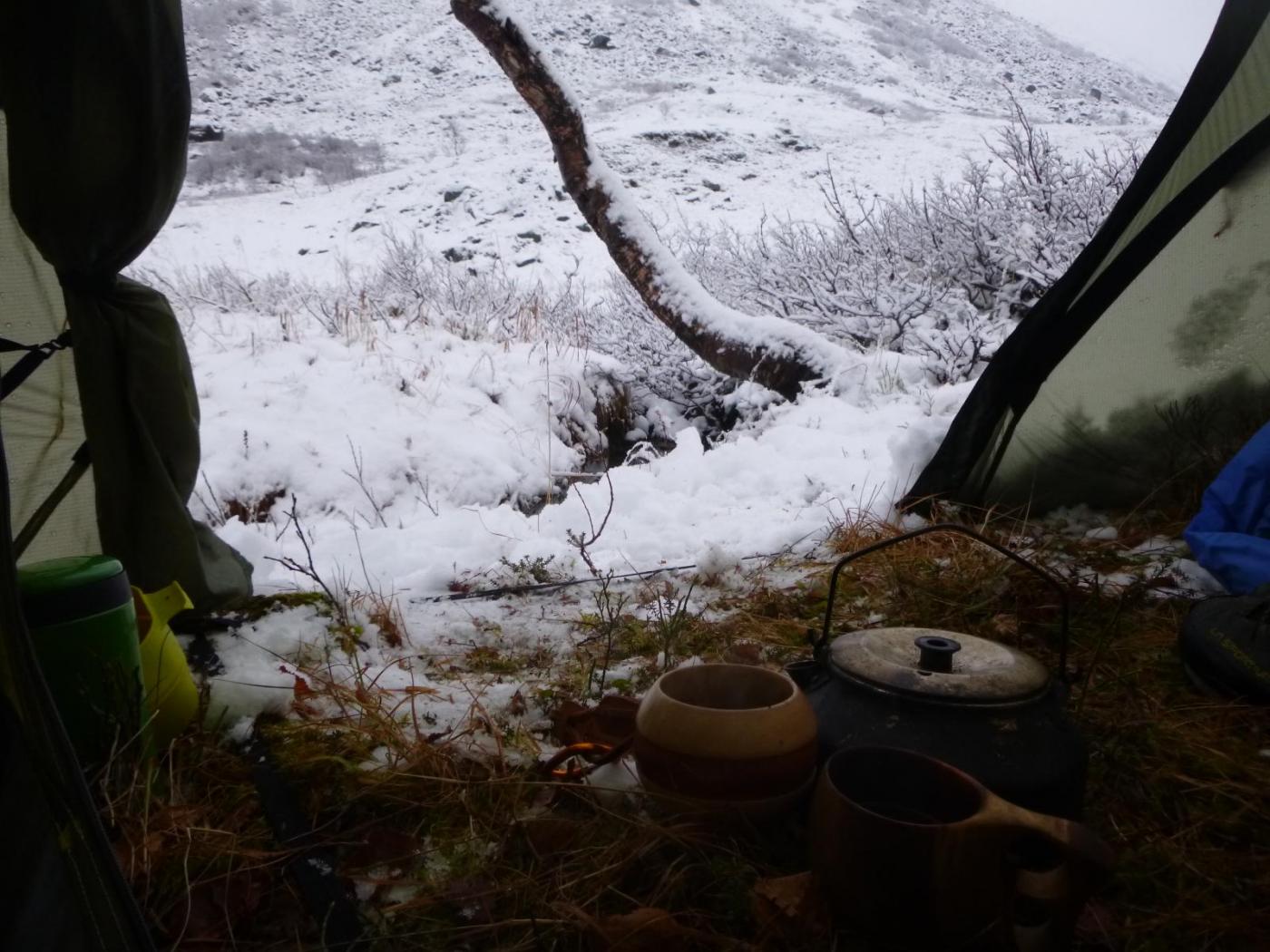 P1010131.thumb.JPG.17d1385111f9d87064b87