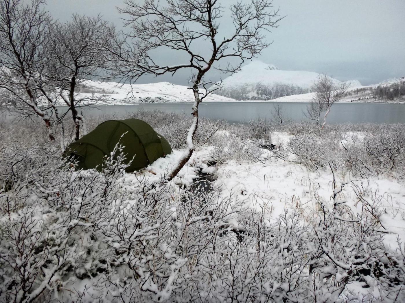 P1010132.thumb.JPG.a8f0f842bd2f311fa56be