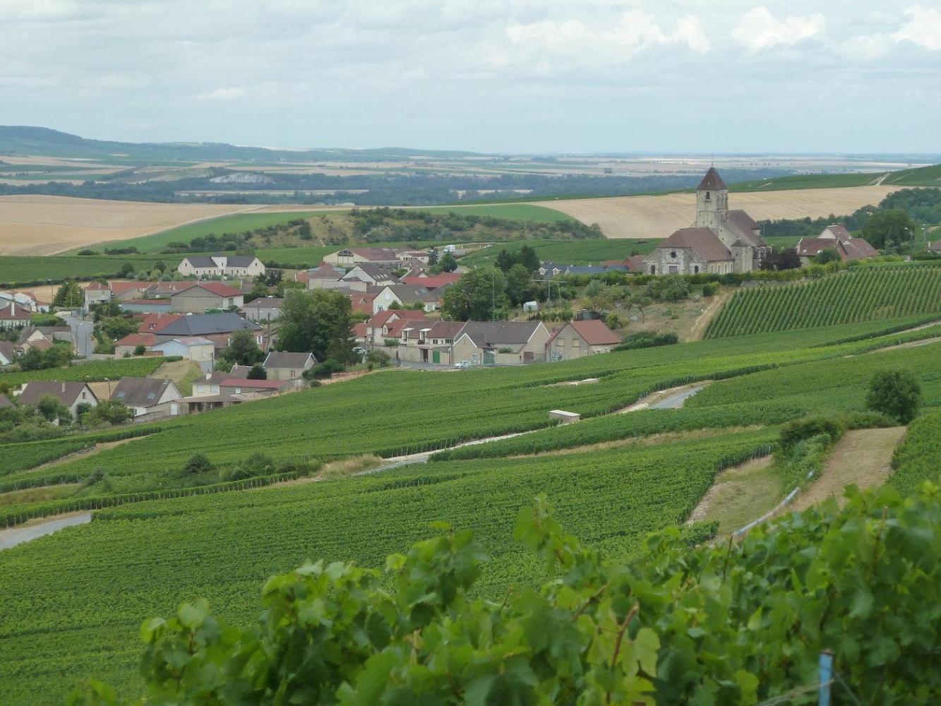 P1030395_r.thumb.JPG.725dc62e7caa3a798dd