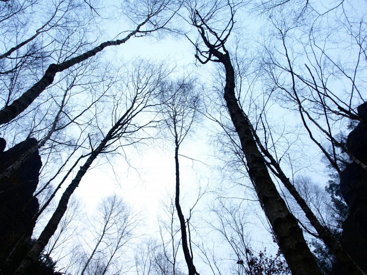 SB200355.thumb.JPG.570ab4f87347d595fab70