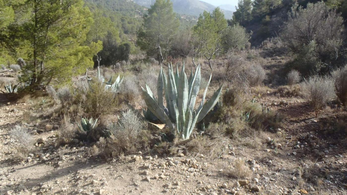 034.thumb.JPG.ff1185e1f08e18fed905c45ecb