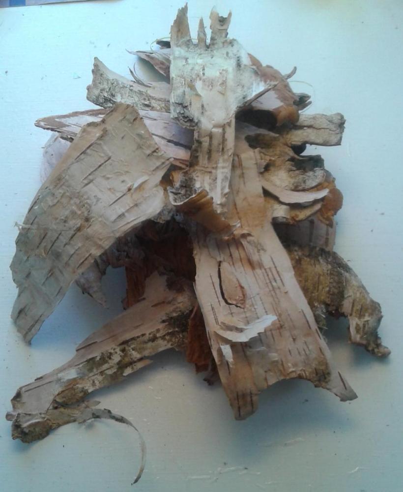 20130106_225730.thumb.jpg.6e9ac2f90c9a4d