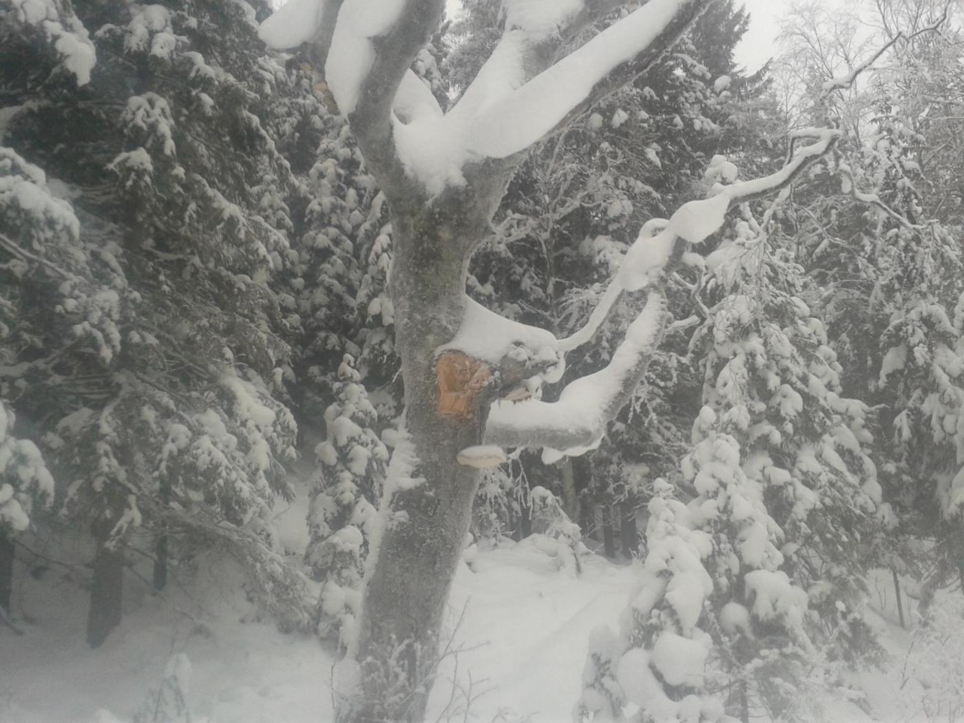 20160123_104656.thumb.jpg.7a1e218db8bea1