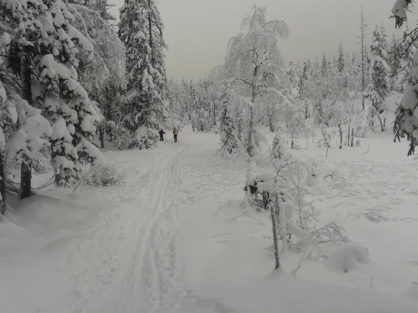 20160123_125326.thumb.jpg.c6e8809d4b1c5b