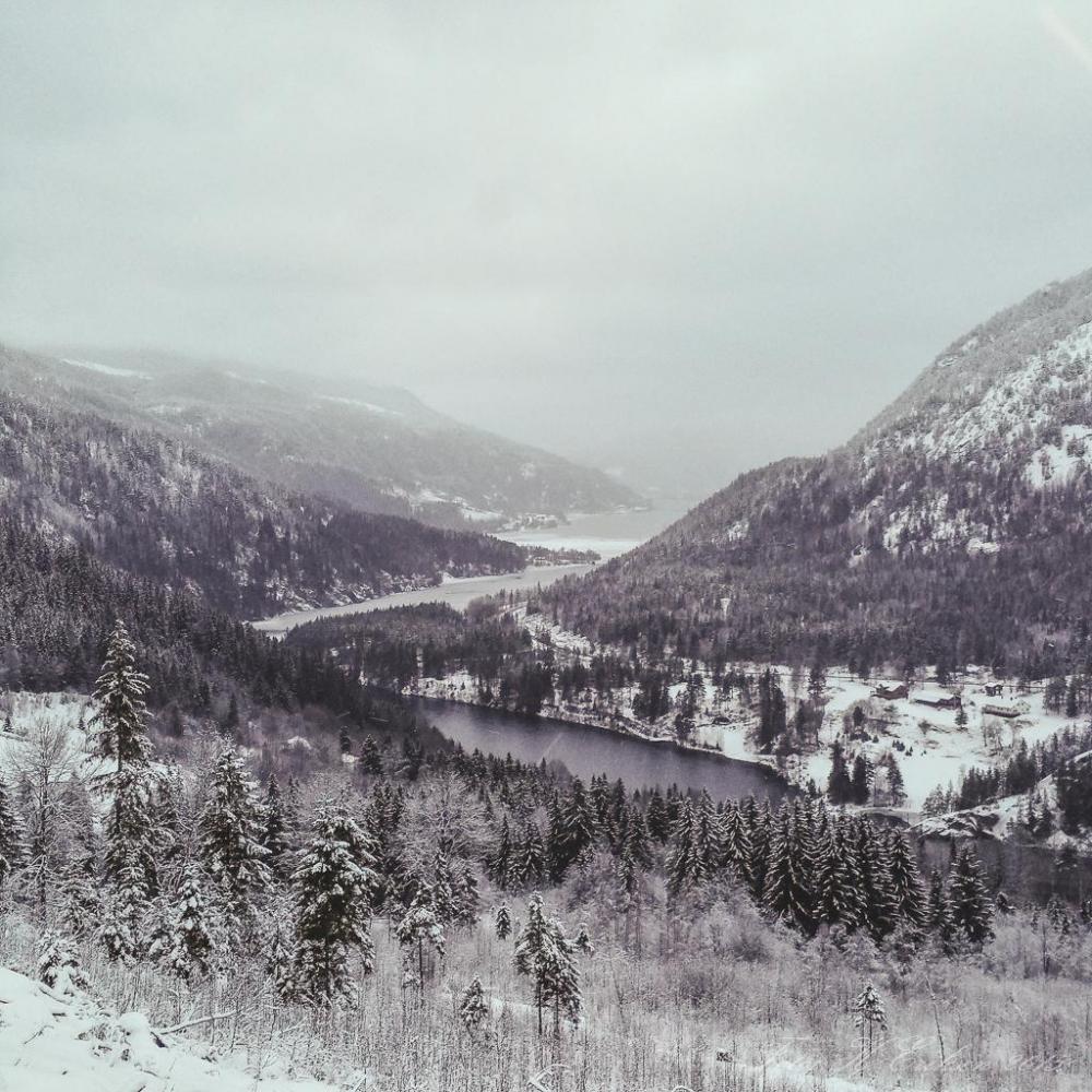 56880bd362e0a_2016-01-0215.03.42.thumb.j