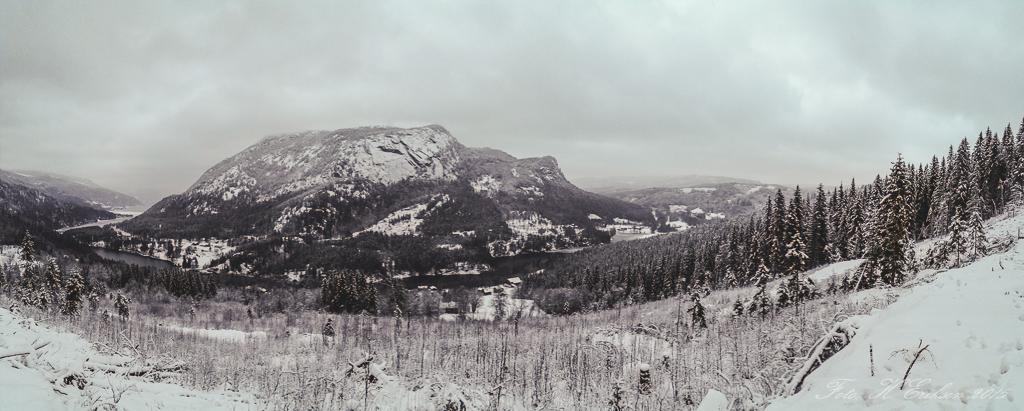 56880bd44f3f1_2016-01-0215.04.01.jpg.6a3