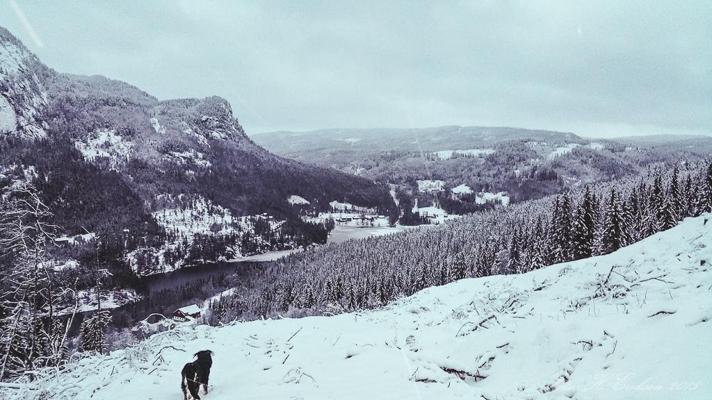 56880bd57345e_2016-01-0215.38.53.jpg.102