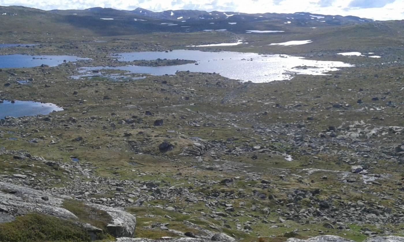 10 - 0b Målet 1307 aug 2015.jpg