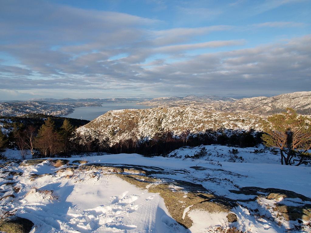 569bbdf20183a_Damsgrdsfjellet(P1170428).