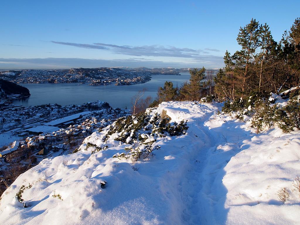 56a1180b3f185_TilbakeblikkoppturHolefjel