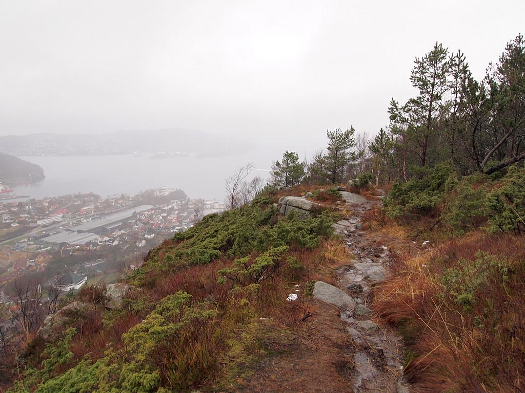 56a4d845776ba_TilbakeblikkoppturHolefjel