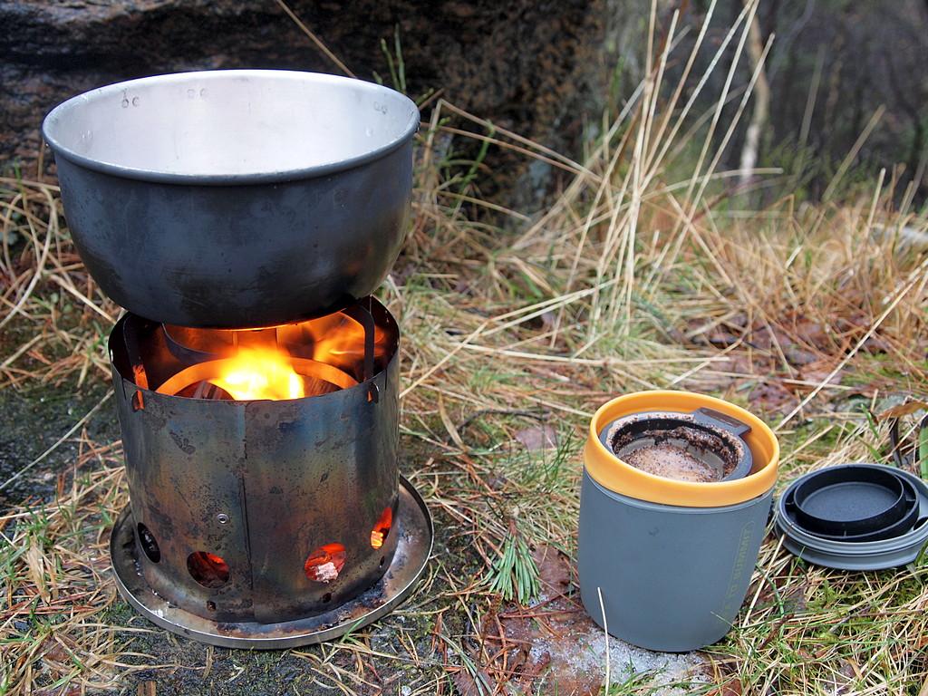 56a4d84a2c340_Piratebug(P1240449).JPG.78