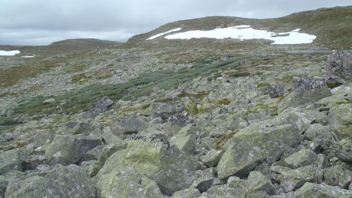 56a528de48028_10-28Myeuroigvierkratt.thu