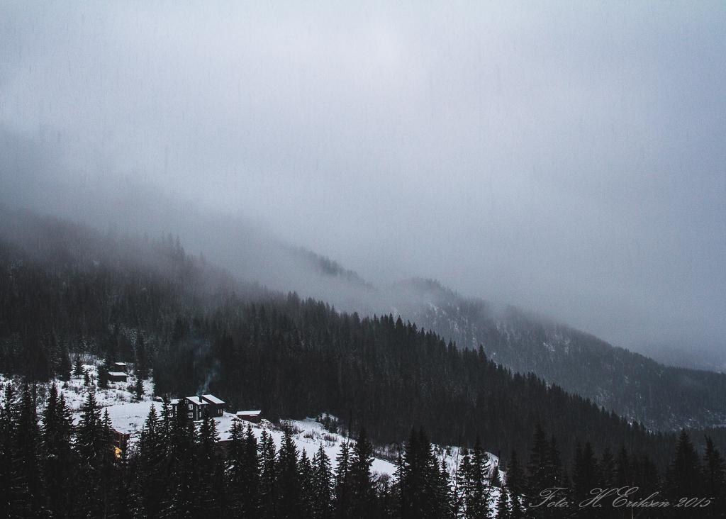 IMG_9219.jpg.55f1b230013d98f4db87abbb826