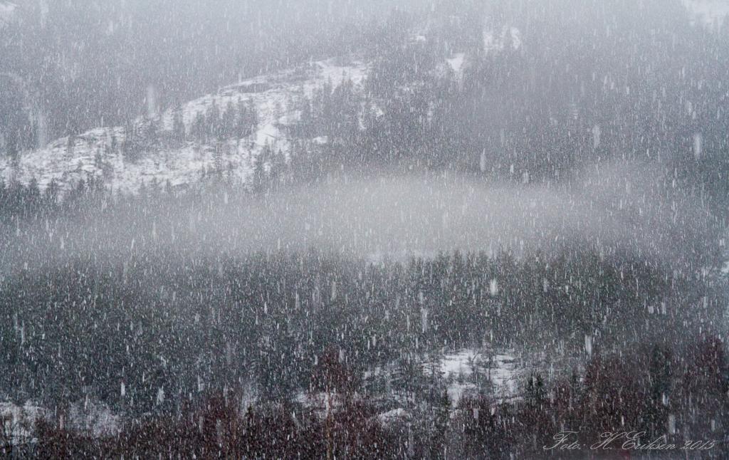 IMG_9250.jpg.d224f7cf887a610a757284772a4