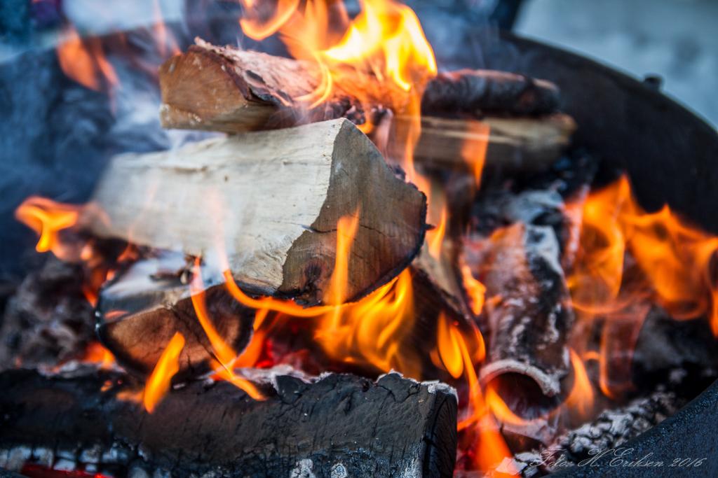 IMG_9602.jpg.e2d802900f948058cf4f2fcb939