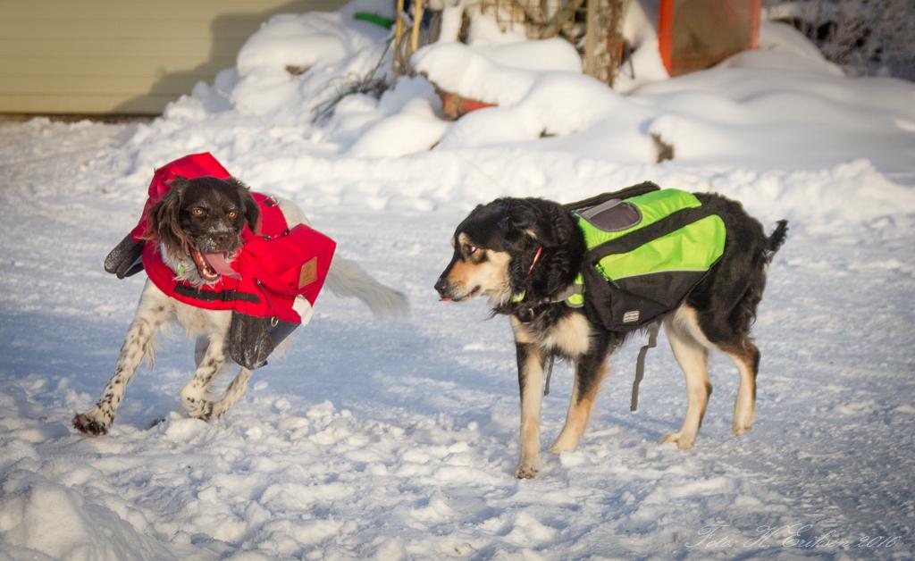 IMG_9671.jpg.461ead6baaefa1545bc467ed80d