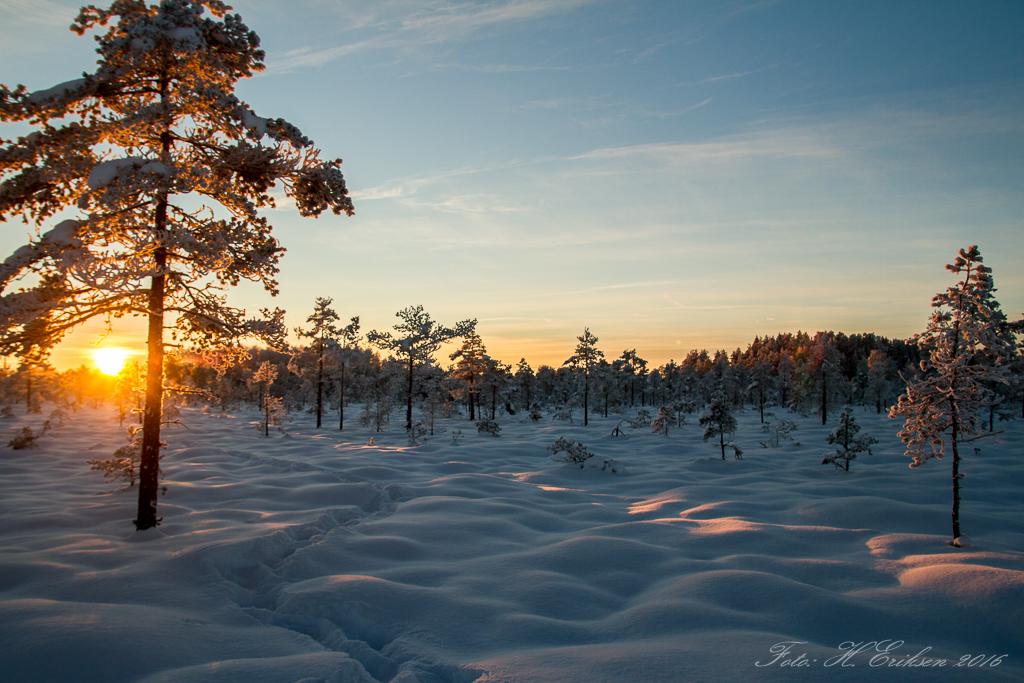 IMG_9745.jpg.2d76e5f6073ce5100677cdea7d3