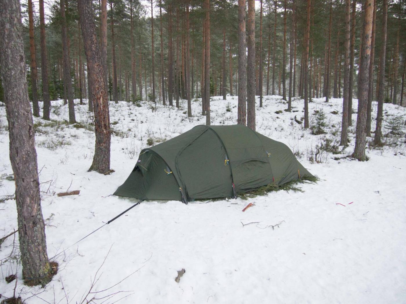 P1184191.thumb.jpg.0357ac07aacf0edad48f5