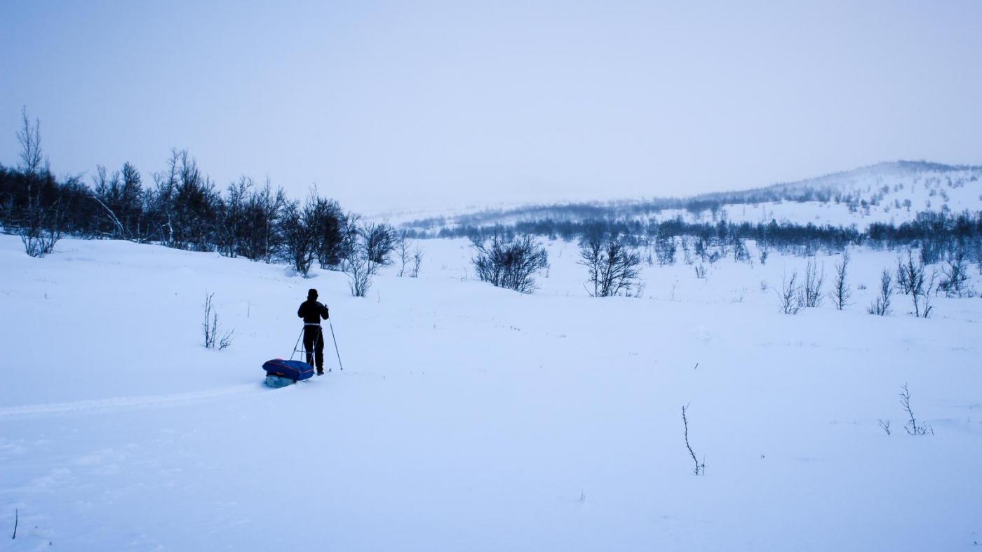 img_3653_24043974932_o.thumb.jpg.f7c5133