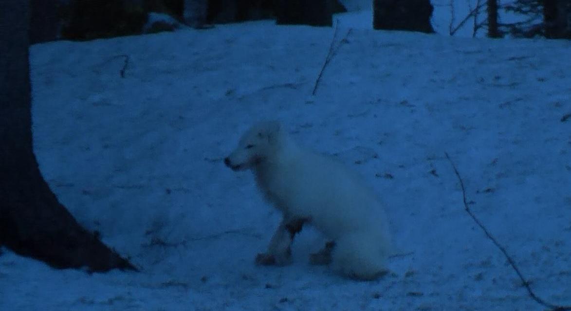 krabat.jpg.6eeef6207622ff1b8eb32ed5ecdbe