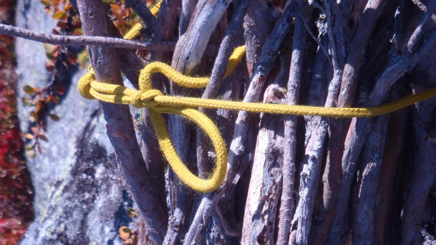 003.thumb.JPG.a2ede51ed3ababbf2d91528006