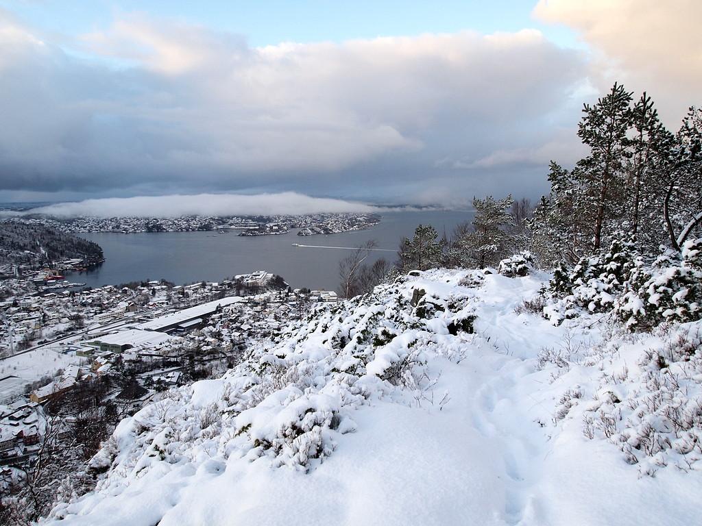 56b3a4283ddfb_TilbakeblikkoppturHolefjel