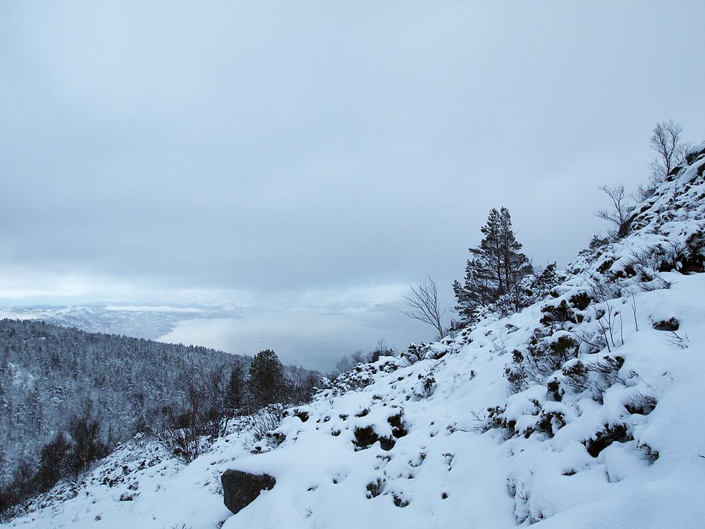 56b3a42ee0e7f_Byge(P2040463).JPG.cced45f