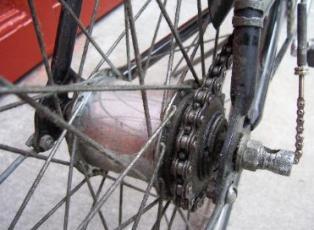 56b55484d0342_3Gir2.jpg.01516b2861c46e7f