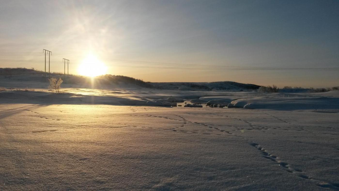 2016-02-06 10.44.11.jpg