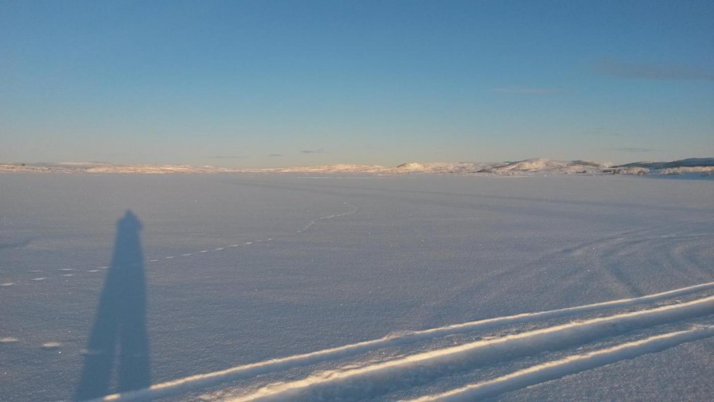 2016-02-06 10.44.21.jpg