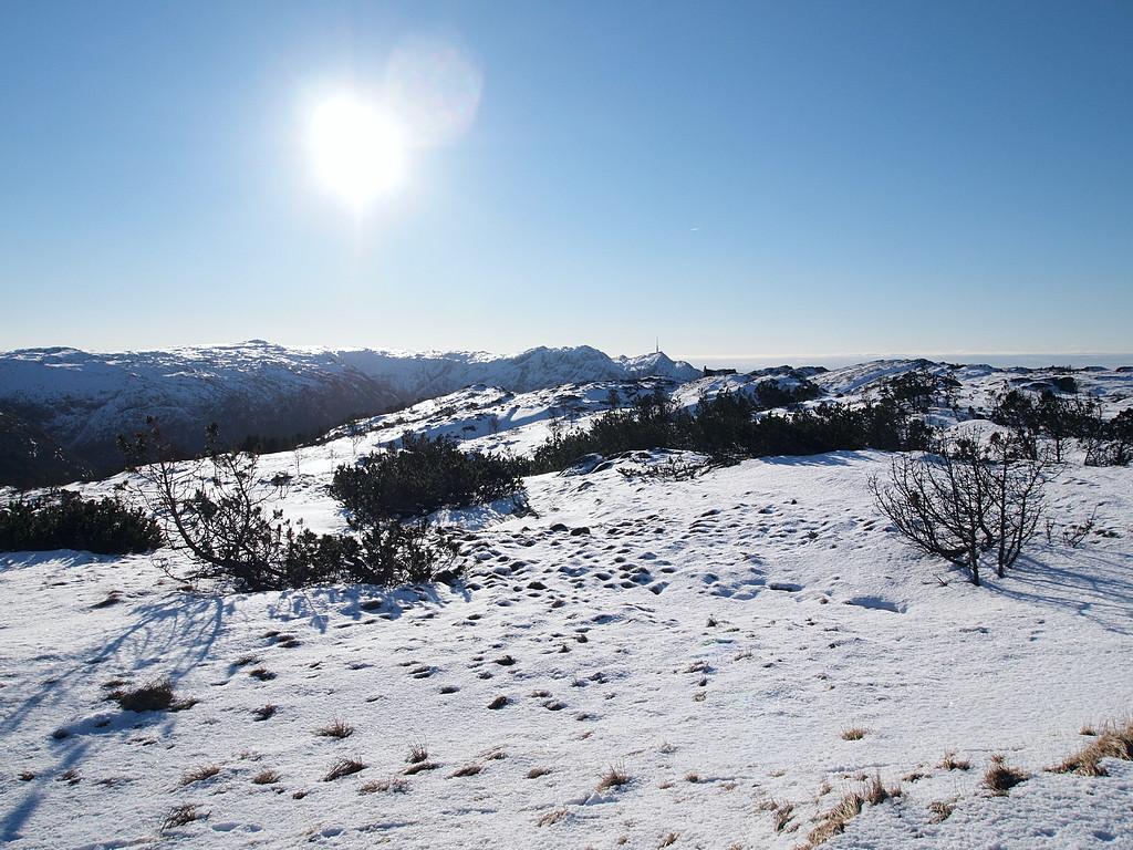 56c0a11b11a2b_UlrikenfraRundemanen(P2140