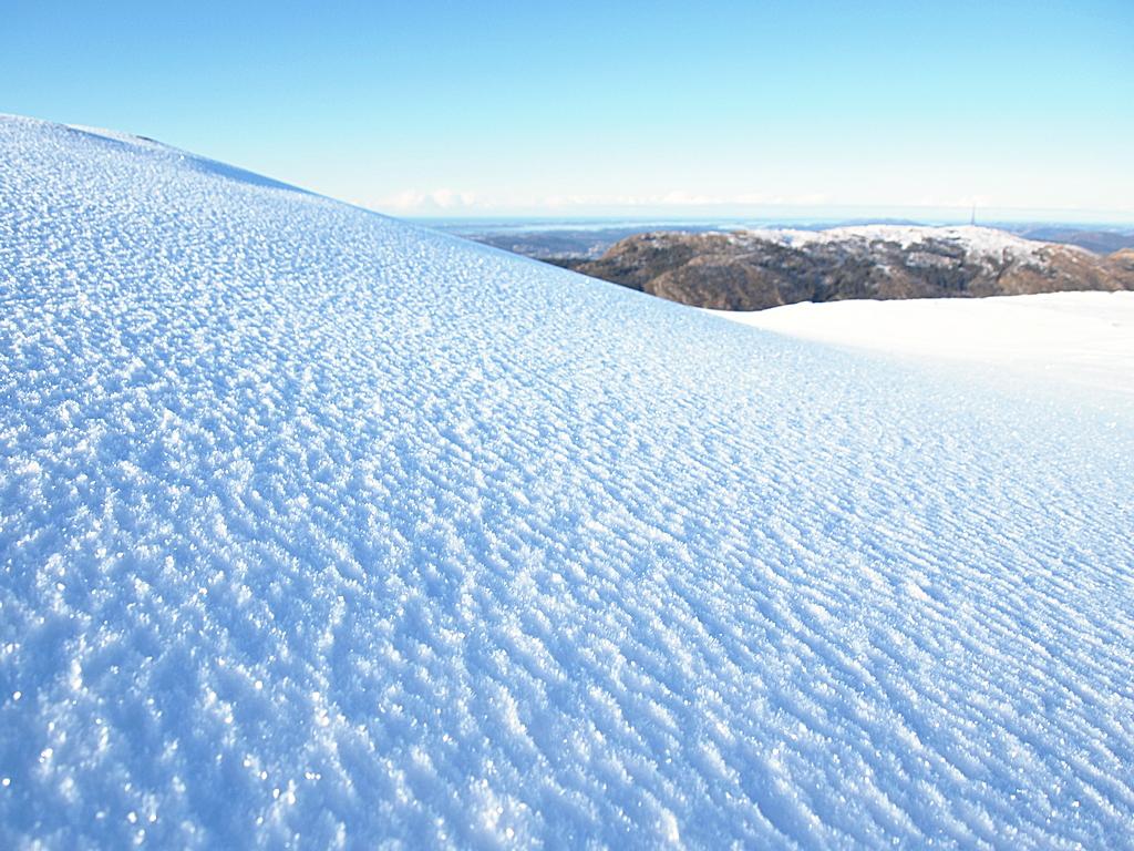 56c0a1283308c_Sn(P2140482).JPG.75bf2c886