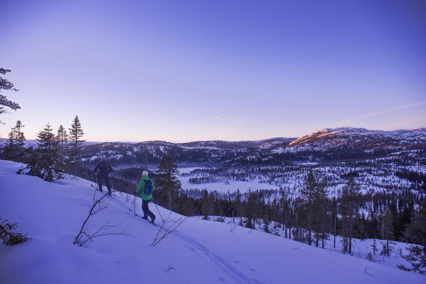 56c375af26b6b_415OppfraTrilledalen.thumb