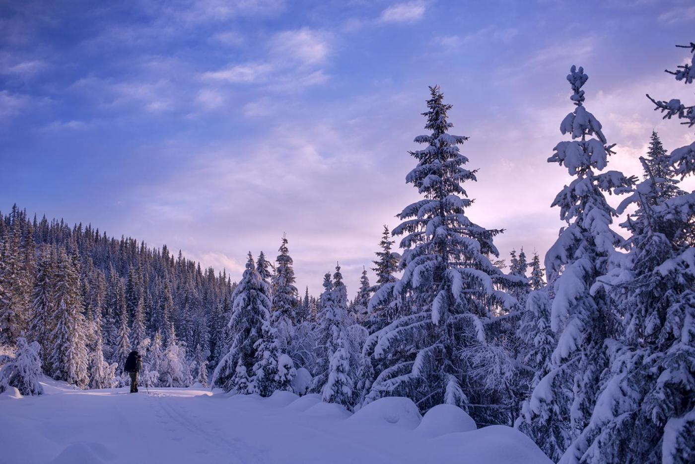 56c375b482e7a_419GamleseterdaleniTrillem