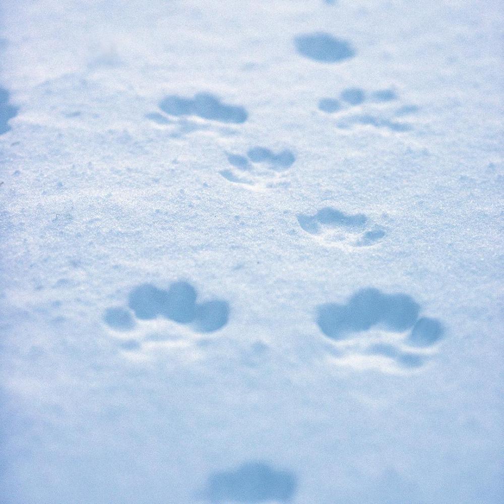 56c375bca7220_423SpormotBlefjell.thumb.j