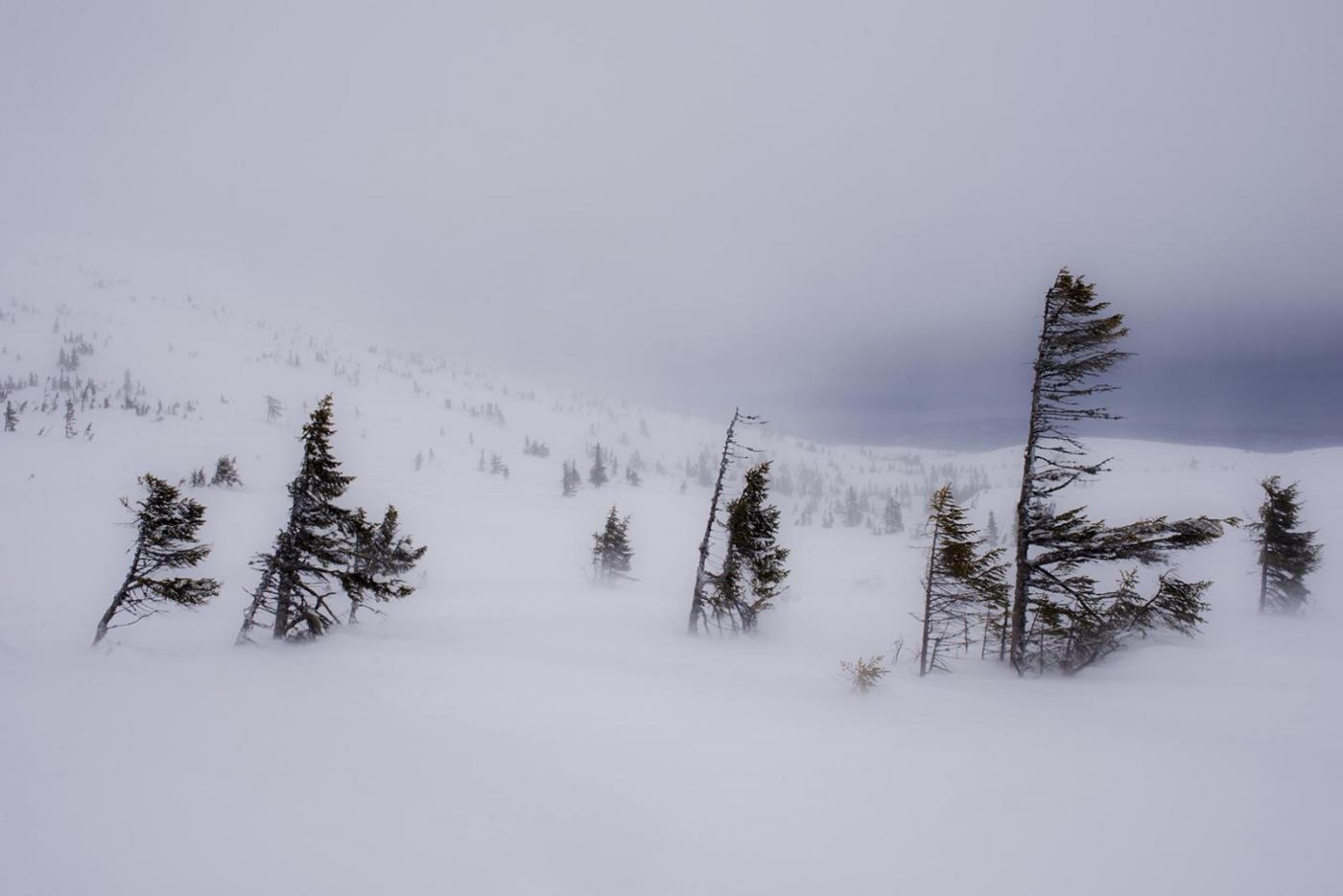 56c375bea9df0_424VindBlefjell.thumb.jpg.