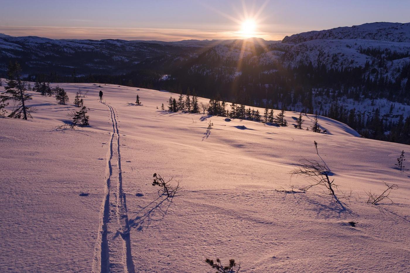 56c375cd445b6_400MuliginngangsbildefraTr