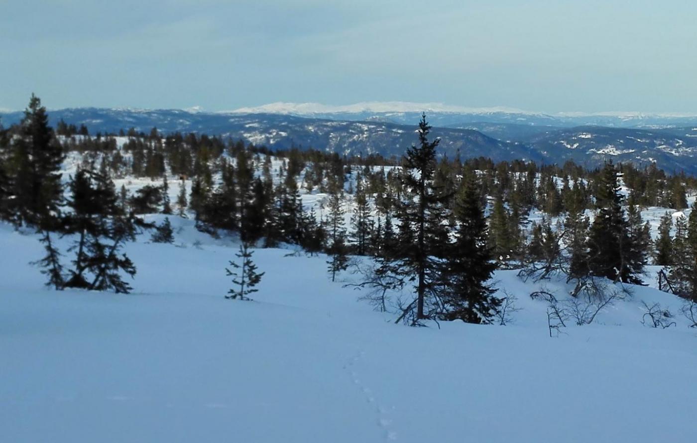 56c3934dd5c5d_2016-02-1615.37.02utsiktti