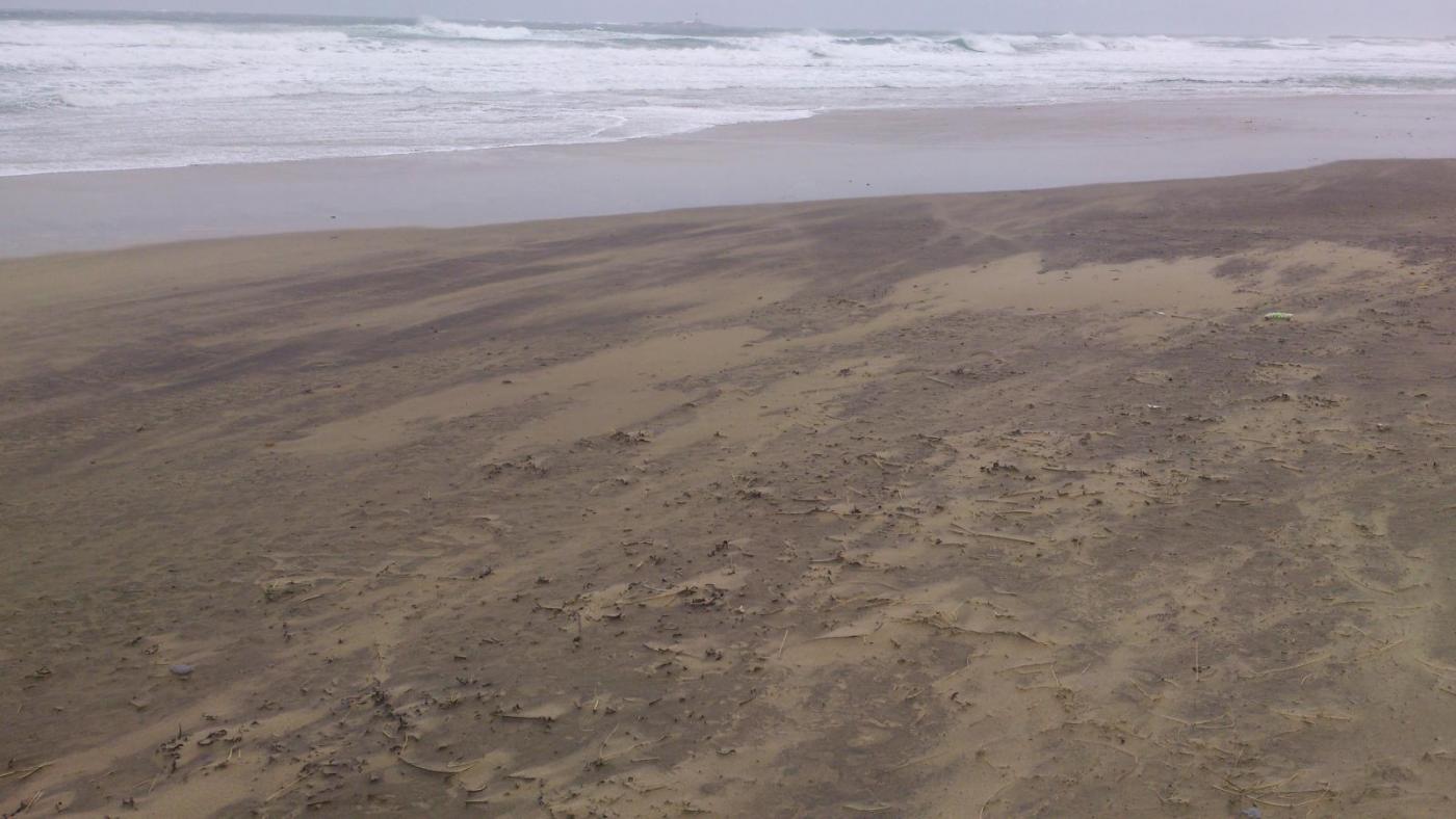 56c4ae488037a_DSC_04131.thumb.jpg.a1d7aa