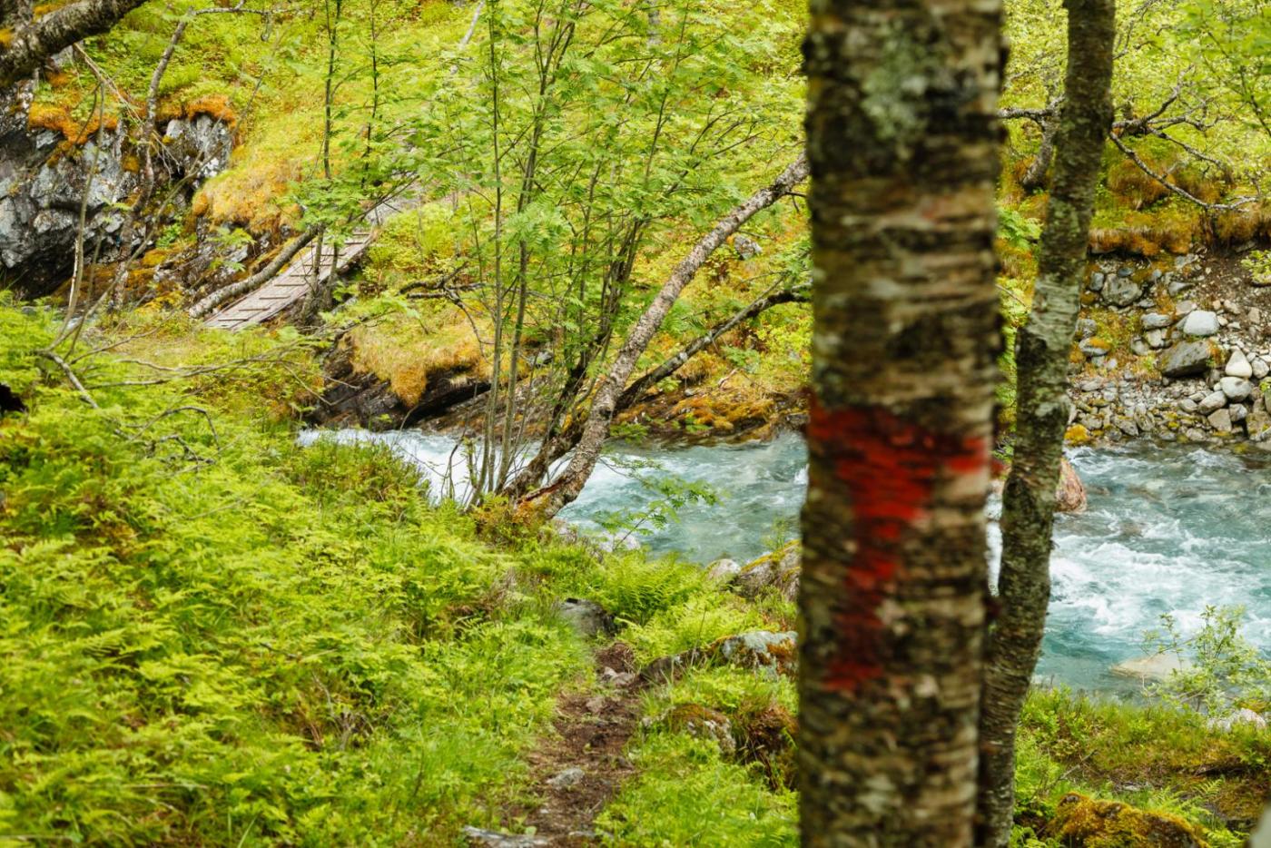 56c990cc877a2_Loftskardselva(4of13).thum