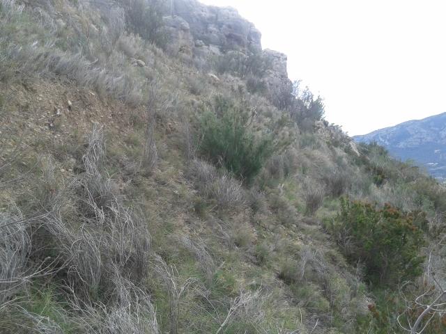 56cb877d0c30c_6(640x480)-Kopi.jpg.538950