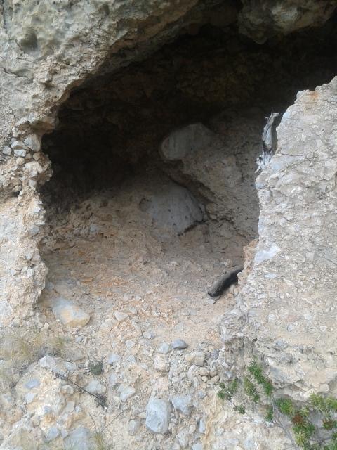 56cb878568f6d_7(2)(480x640)-Kopi.jpg.c1a