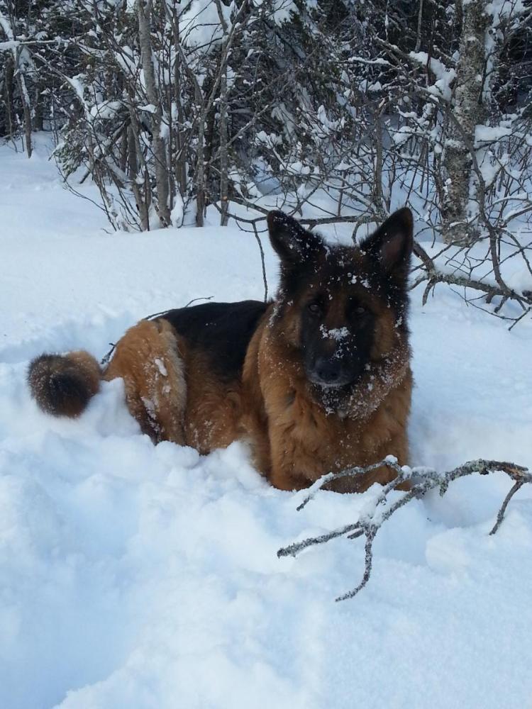 56cf966ddc484_2016-02-0313.17.15.thumb.j